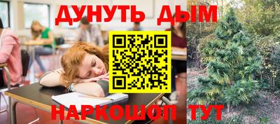 a pvp Моздок